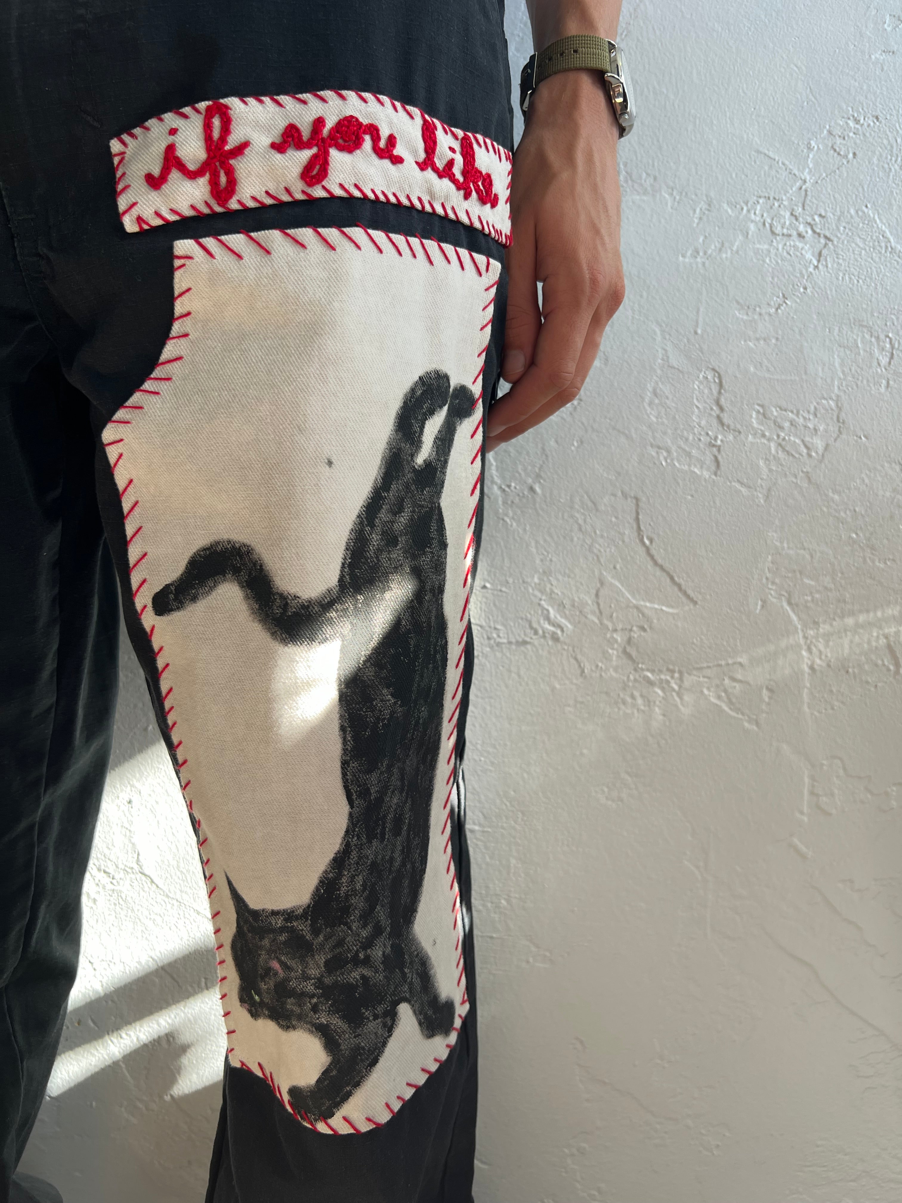 "Free" Cat Pants